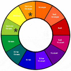 Combinazioni di colori analogici della ruota dei colori