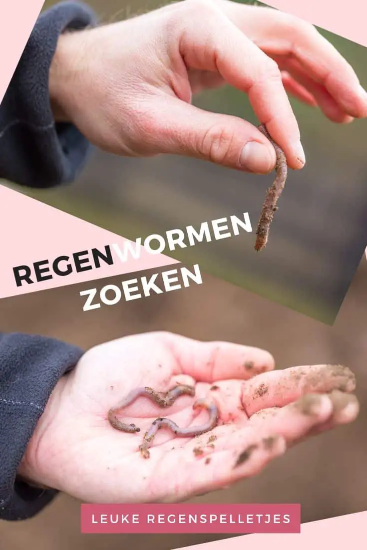 Regenwormen in een hand