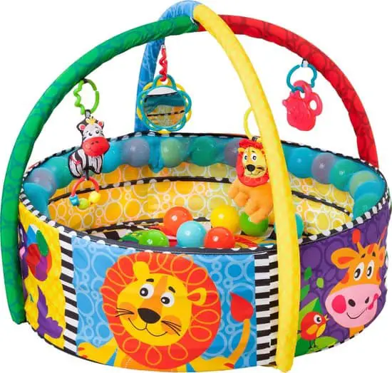 Beste BPA vrije baby gym: Playgro Speelkleed