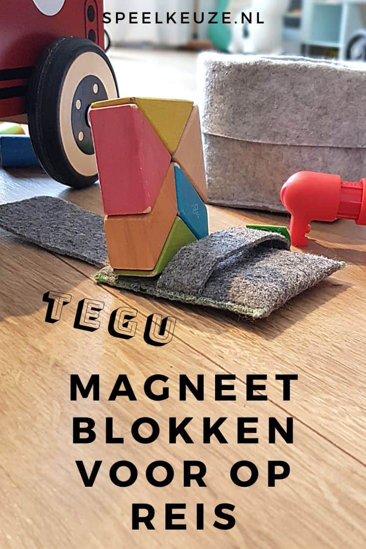 Tegu travel magnetic blocks