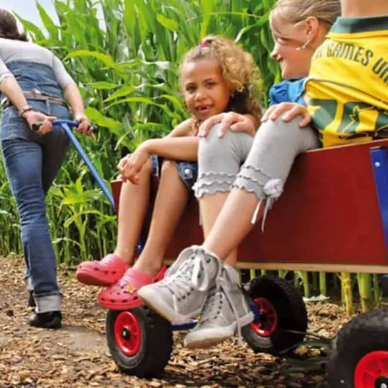 Bester großer Wagen: Berg Beach Wagon XL