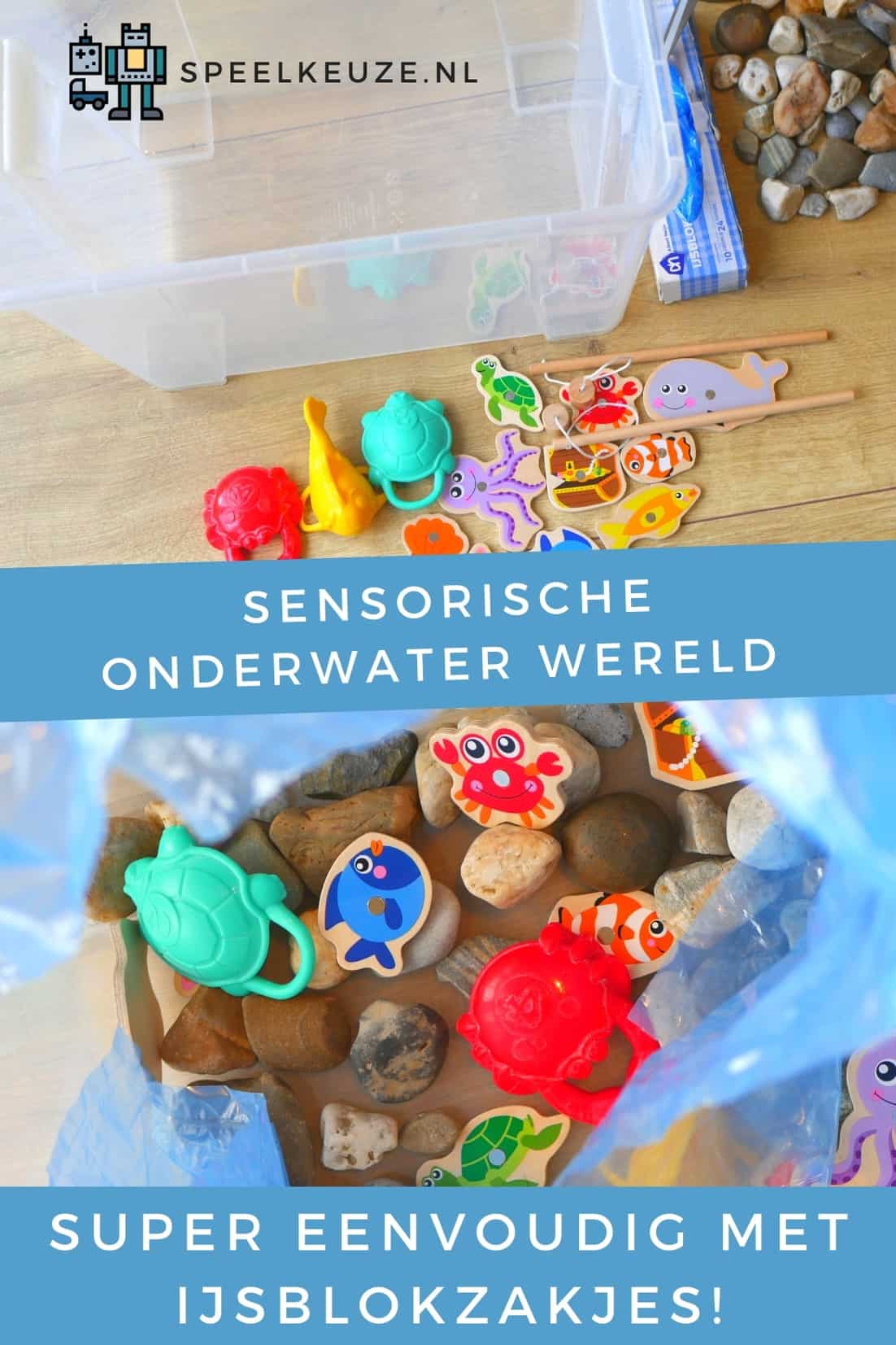 Sensorische onderwater wereld