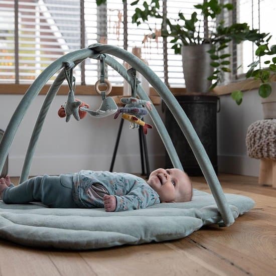 Süßestes kleines holländisches Baby-Fitnessstudio: Baby-Fitnessstudio Shell Ocean Mint