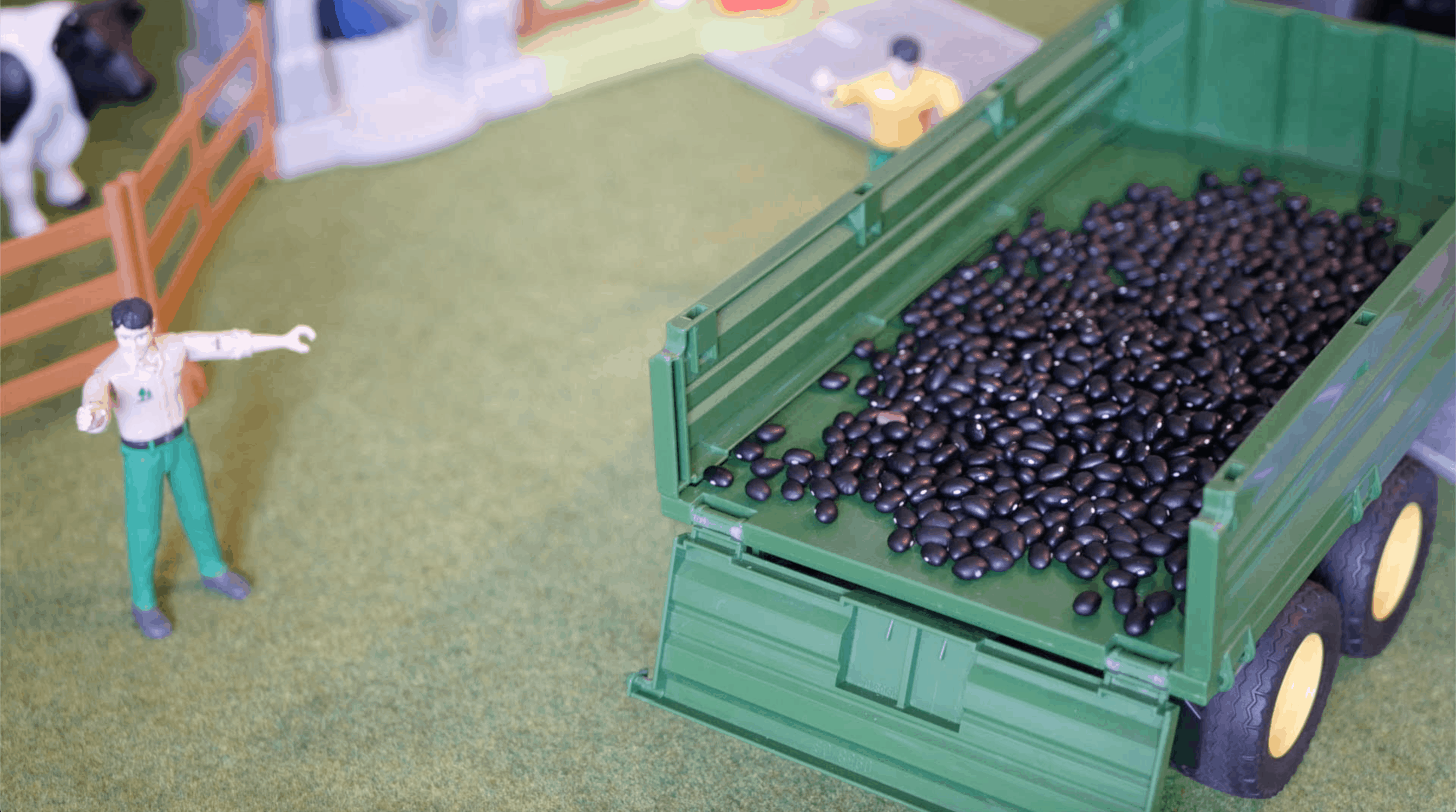 Black beans for toy tractors