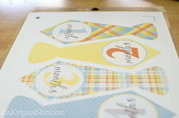 Fun sticker paper projects for the Silhouette