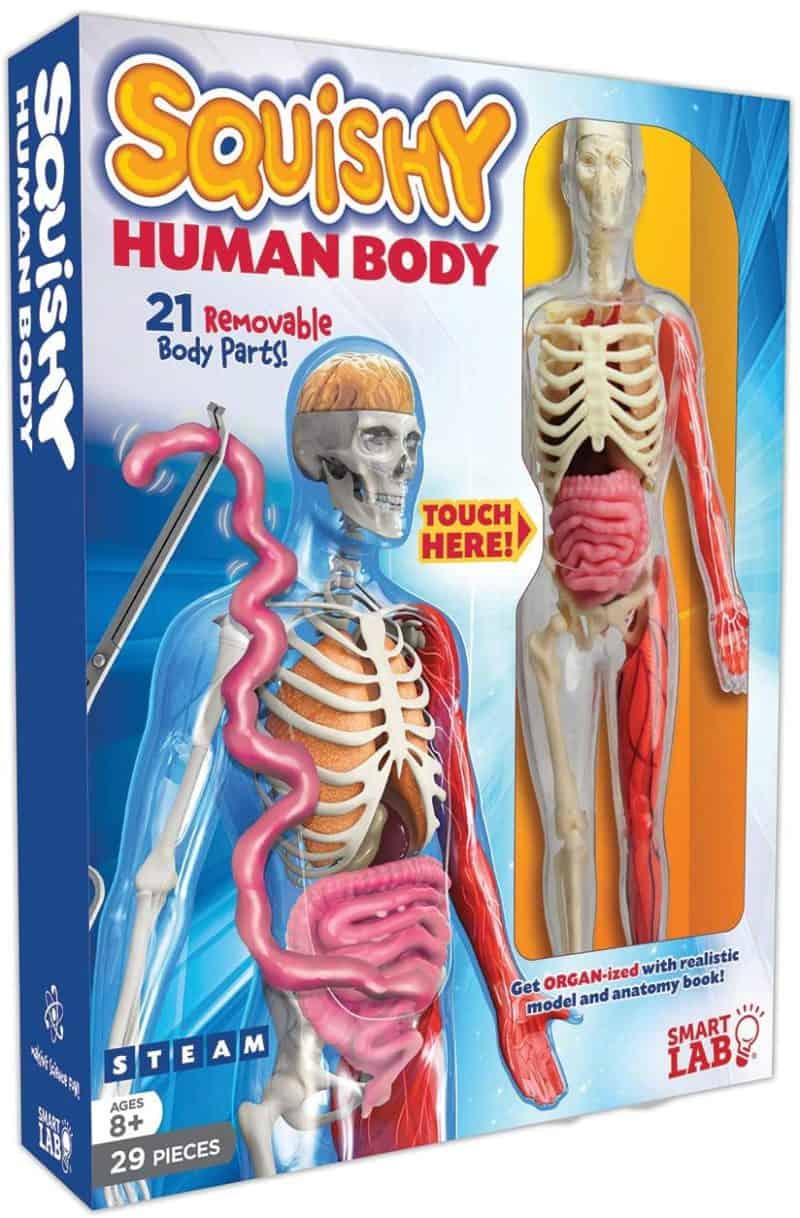 SmartLab Toys Squishy Menselijk lichaam