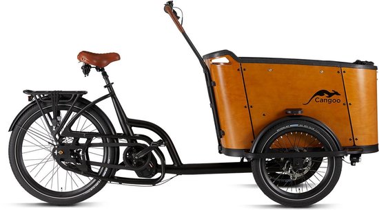 Mejor bicicleta de carga eléctrica 4 asientos - Cangoo Buckle