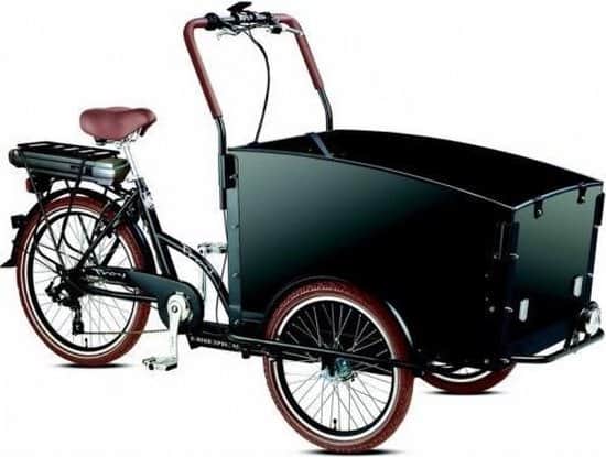 Beste goedkope elektrische bakfiets- Troy E-bike Special