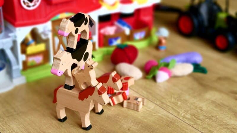 Best Wooden Stacking Toys Reviewed