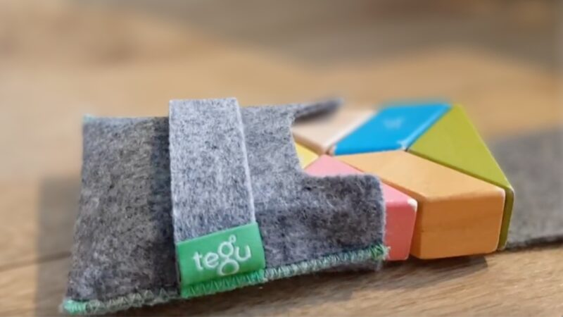 Tegu Pocket Pouch Reviewed