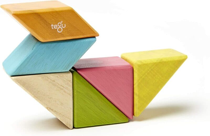 Swan of tegu blocks